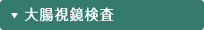 大腸視鏡検査