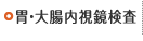 胃・大腸内視鏡検査