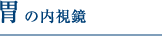 胃の内視鏡