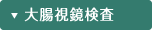 大腸視鏡検査
